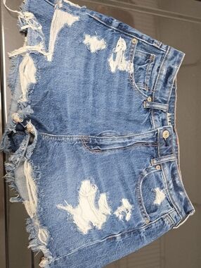 American Eagle Outfitters Distressed Blue Denim Cutoff Shorts
